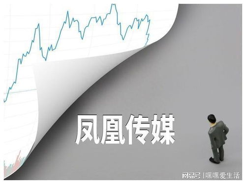 鳳凰傳媒股評 文化傳媒產業的璀璨明珠