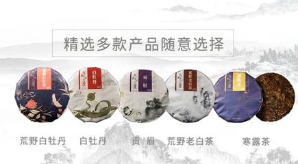 發揚白茶文化 九十三度老白茶引領行業發展